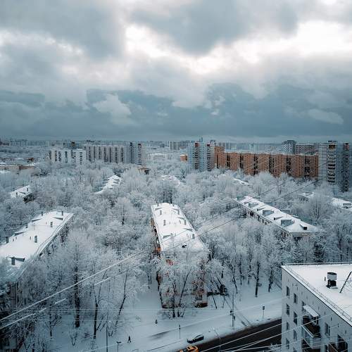 Photo #11615768