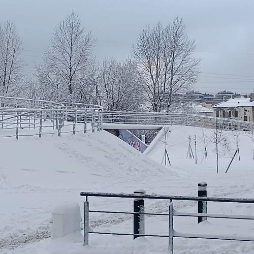 Photo #11615886