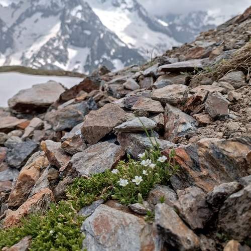 Photo #11616199