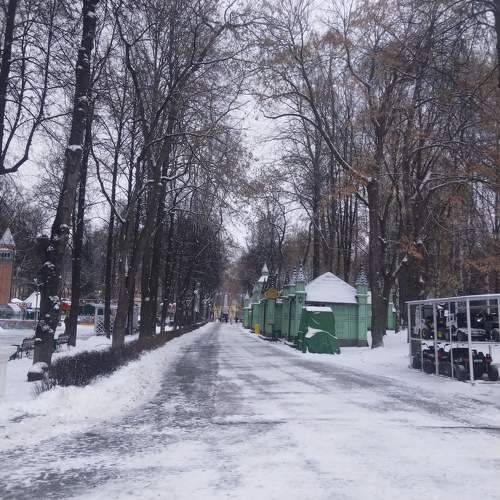 Photo #11616342