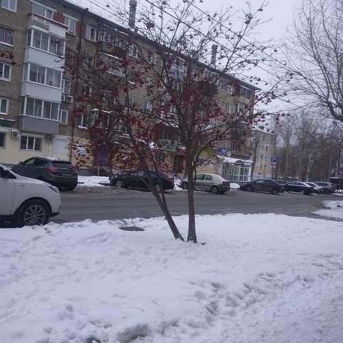 Photo #11616346