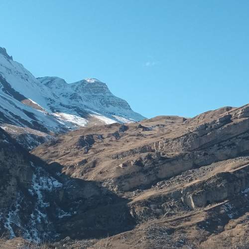 Photo #11616411