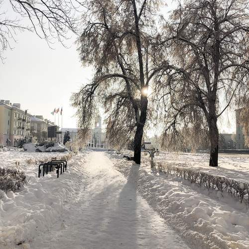 Photo #11616706