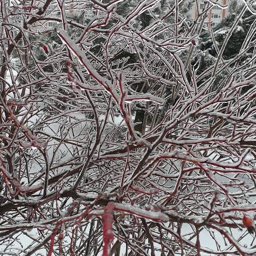 Photo #11616768