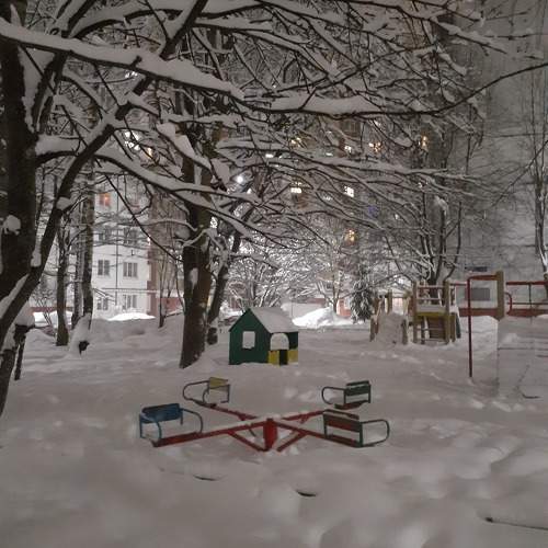 Photo #11616775