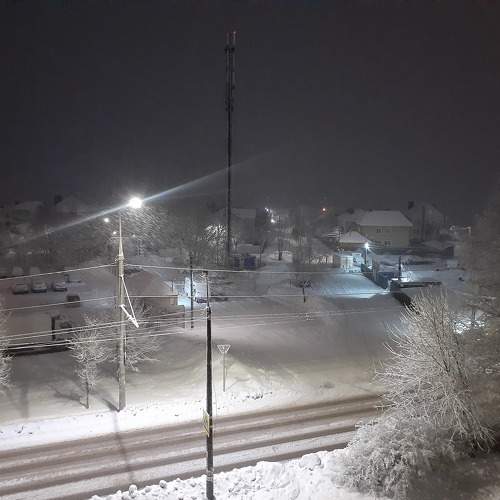 Photo #11616794