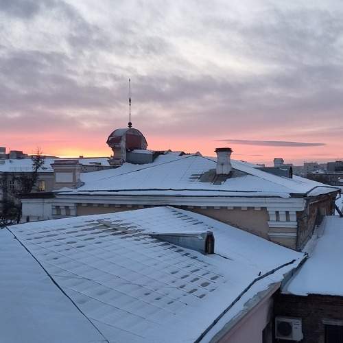Photo #11616856
