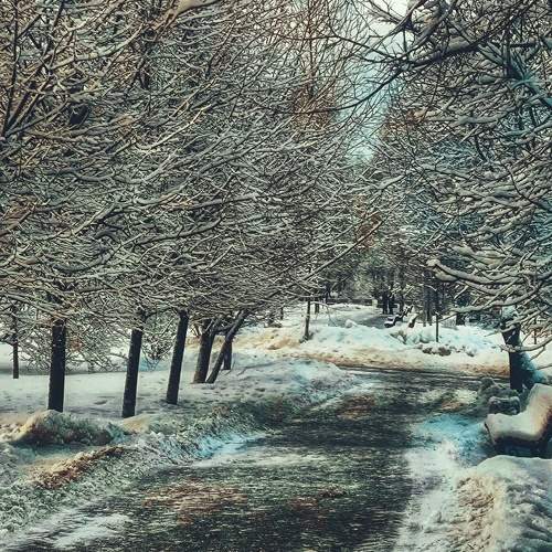 Photo #11616925