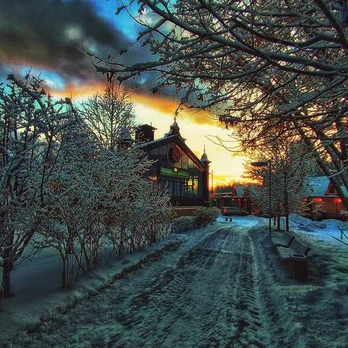 Photo #11616937