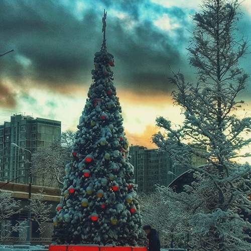 Photo #11616944