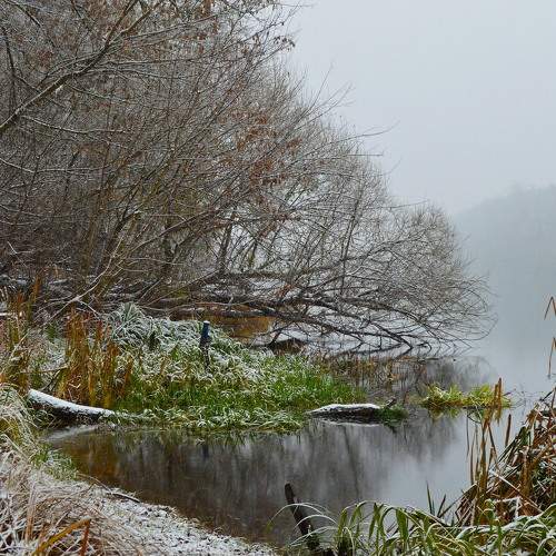 Photo #11616957