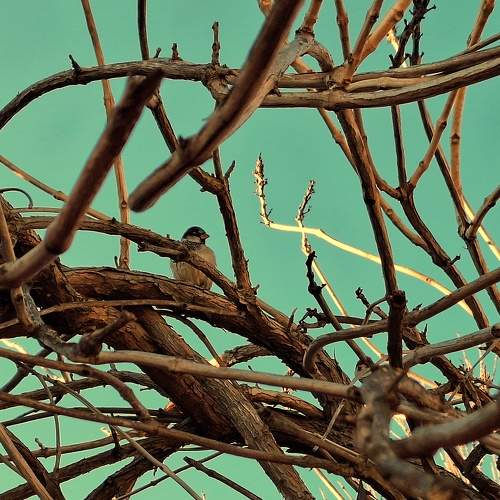 Photo #11616959