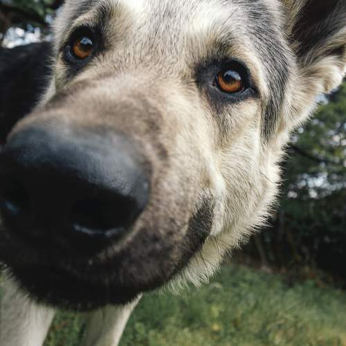 Photo #11617301