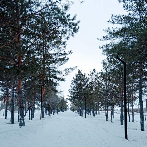 Photo #11617391