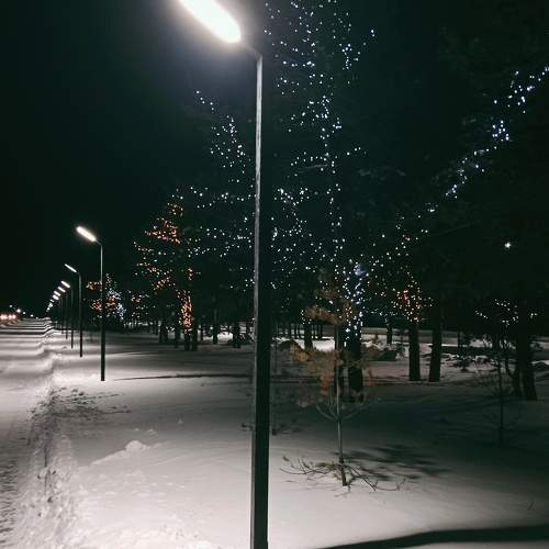 Photo #11617392