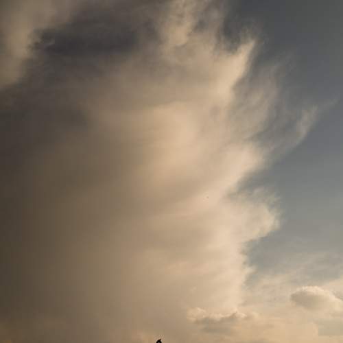 Photo #11617505