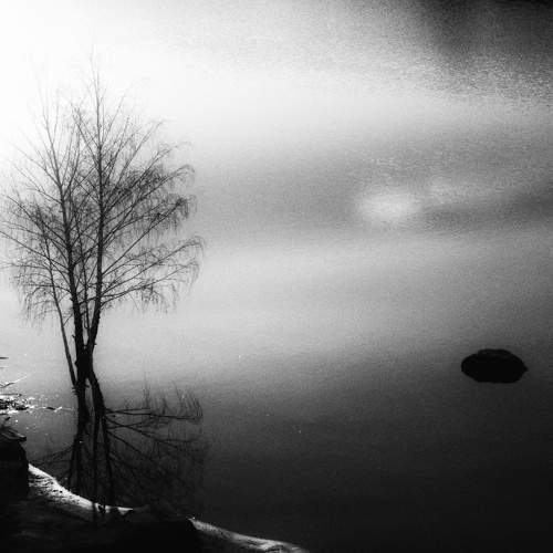 Photo #11617588