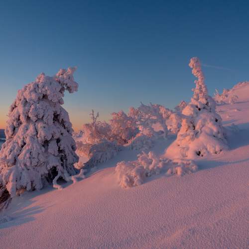 Встреча на горе