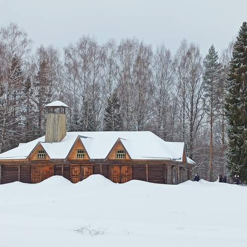 Photo #11617923