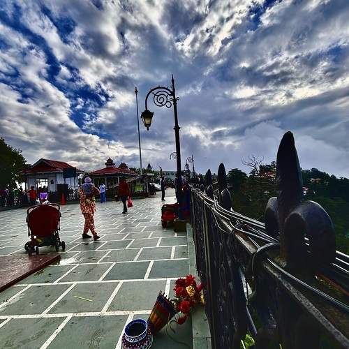 Photo #11618908