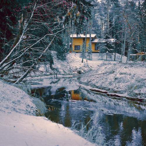 Photo #11619152
