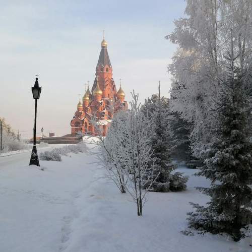 Photo #11619483