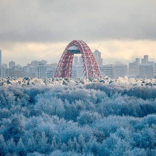 Фотография #11619495