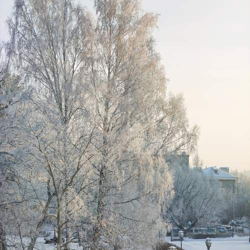 Photo #11619499
