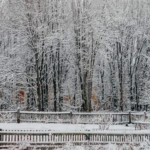 Photo #11620400