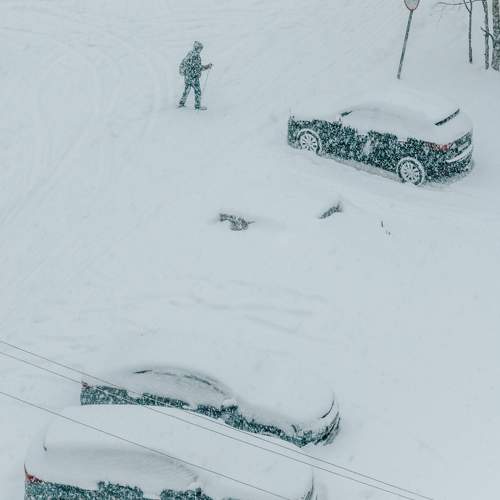Photo #11620401