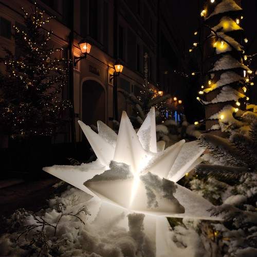 Photo #11620867
