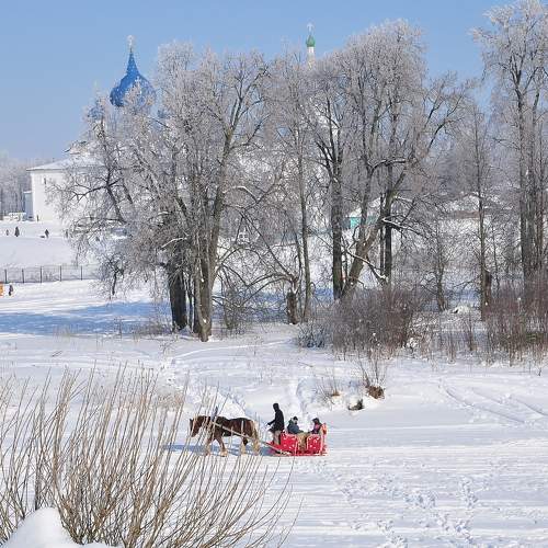 Photo #11620978