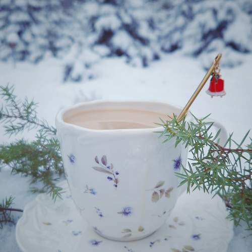 Photo #11621071