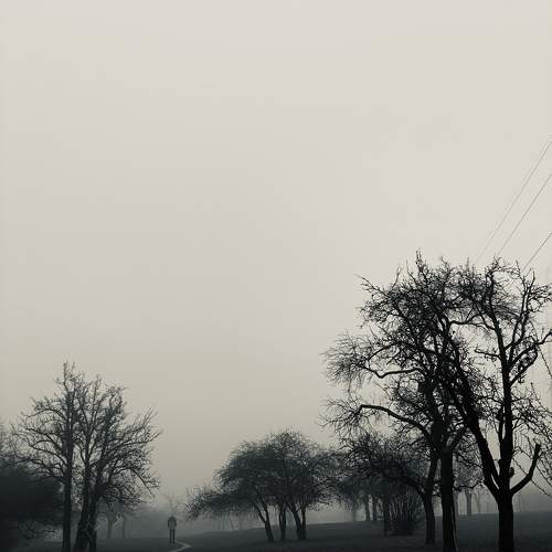 Photo #11621545