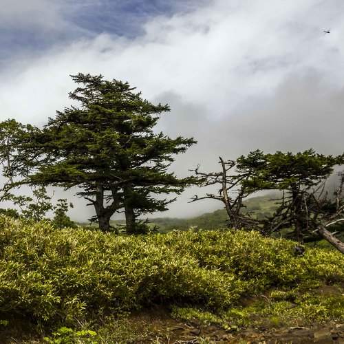 Photo #11621551
