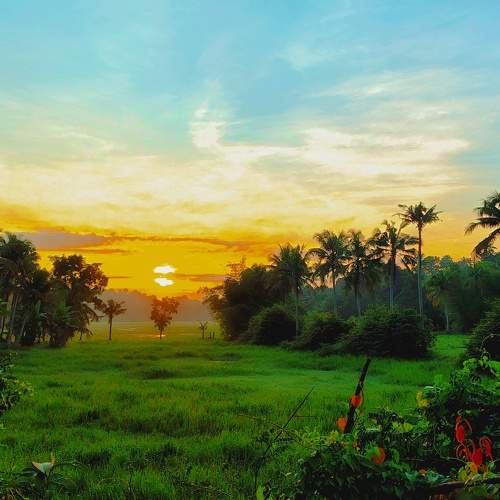 Photo #11622233
