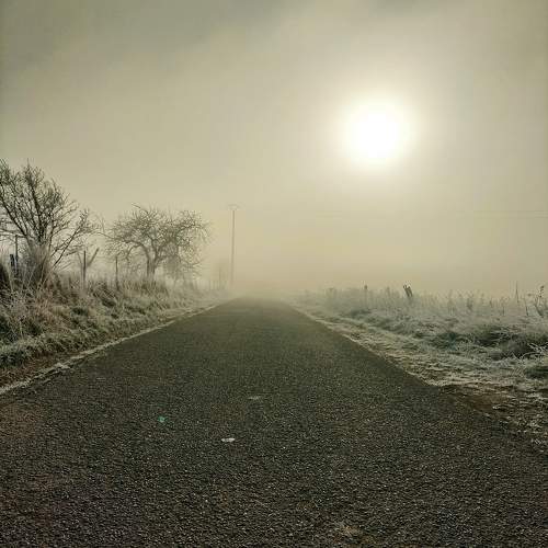 Photo #11622483