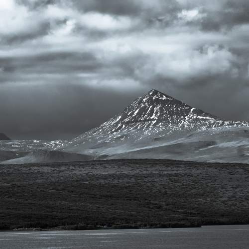 Photo #11622598