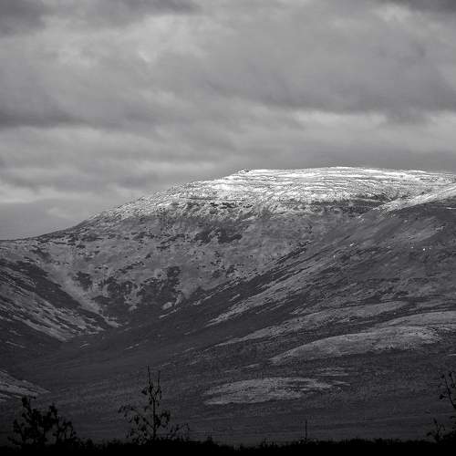 Photo #11622750
