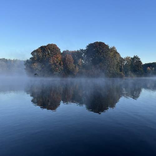 Photo #11622813