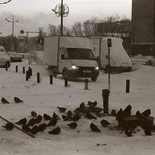 Photo #11623272