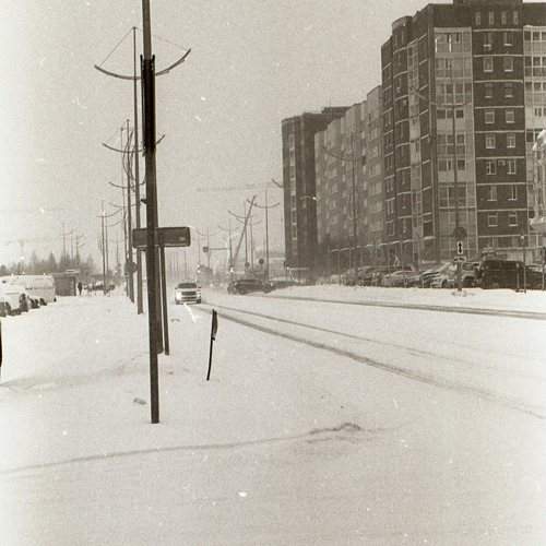 Photo #11623281