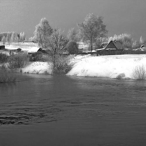 Photo #11623546