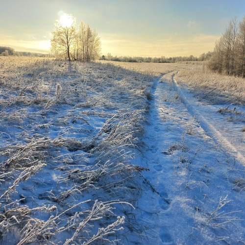 Photo #11623691