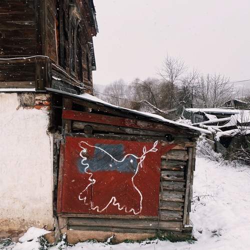 Photo #11623794