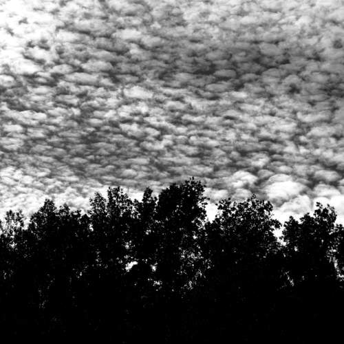 Небесные перья / Sky feathers