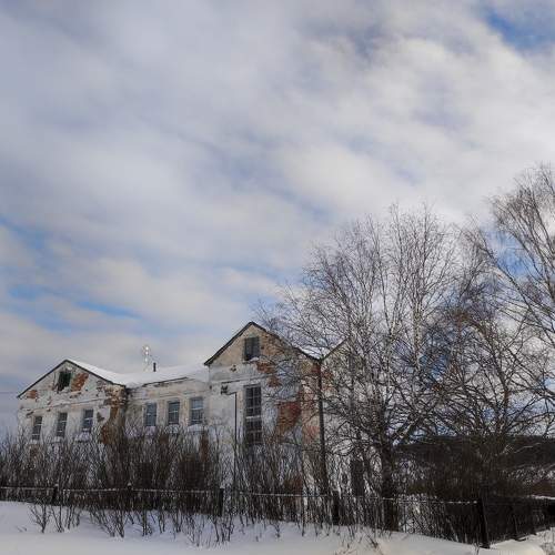 Photo #11624145