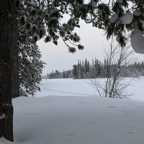 Photo #11624379