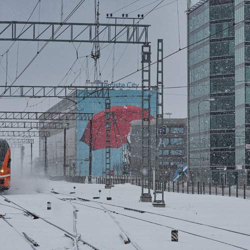 Photo #11624586