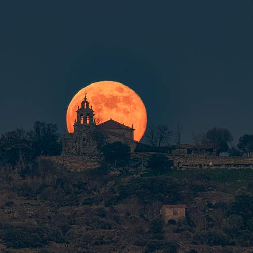 Photo #11624838